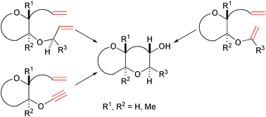 Graphical abstract: Construction of fused polycyclic ethers by strategies involving ring-closing metathesis