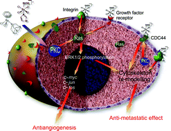 Graphical abstract: Metal-based antitumour drugs in the post genomic era