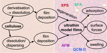 Graphical abstract: Cellulose—model films and the fundamental approach