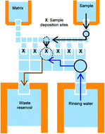 Graphical abstract: An integrated digital microfluidic chip for multiplexed proteomic sample preparation and analysis by MALDI-MS