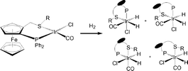 Graphical abstract: Parahydrogen studies of H2 addition to Ir(i) complexes containing chiral phosphine–thioether ligands: implications for catalysis