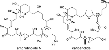 Graphical abstract: Synthesis of iso-epoxy-amphidinolide N and des-epoxy-caribenolide I structures. Initial forays
