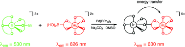 Graphical abstract: A cross-coupling strategy for the synthesis of dimetallic assemblies containing mixed bipyridine–terpyridine bridging ligands: luminescence and energy transfer properties