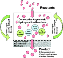 Graphical abstract: Organic solvent nanofiltration in asymmetric hydrogenation: enhancement of enantioselectivity and catalyst stability by ionic liquids