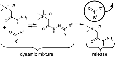 Graphical abstract: Controlled release of volatile aldehydes and ketones by reversible hydrazone formation – “classical” profragrances are getting dynamic