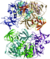 Graphical abstract: Inferring the chemical mechanism from structures of enzymes