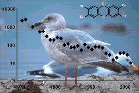 Graphical abstract: Comprehensive re-analysis of archived herring gull eggs reconstructs historical temporal trends in chlorinated hydrocarbon contamination in Lake Ontario and Green Bay, Lake Michigan, 1971–1982