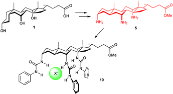 Graphical abstract: The “triamino-analogue” of methyl allocholate; a rigid, functionalised scaffold for supramolecular chemistry