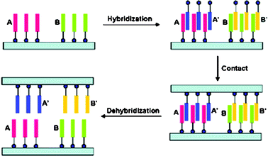 Graphical abstract: Stamping with high information density
