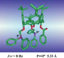 Graphical abstract: Phosphorus–phosphorus coupling in a diphosphine with a ten bond P⋯P separation