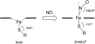 Graphical abstract: The first structurally characterized nitrosyl heme thiolate model complex
