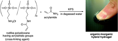 Graphical abstract: Synthesis of organic–inorganic hybrid hydrogels using rodlike polysiloxane having acrylamido groups as a new cross-linking agent