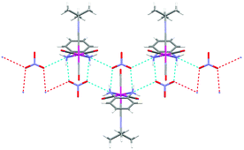 Graphical abstract: Non-covalent interactions between anions and a cationic rhenium diamine complex: structural characterization of the supramolecular adducts