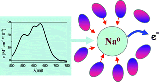 Graphical abstract: Mapping CTTS dynamics of Na− in tetrahydrofurane with ultrafast multichannel pump–probe spectroscopy