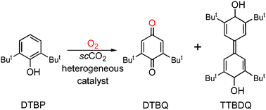 Graphical abstract: Immobilized metal complexes in porous hosts: catalytic oxidation of substituted phenols in CO2 media