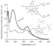 Graphical abstract: A novel ruthenium sensitizer with a hydrophobic 2-thiophen-2-yl-vinyl-conjugated bipyridyl ligand for effective dye sensitized TiO2 solar cells