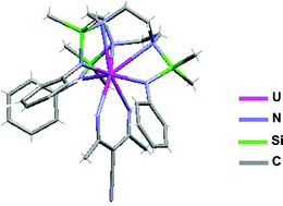Graphical abstract: Synthesis and reactivity of uranium(iv) amide complexes supported by a triamidotriazacyclononane ligand