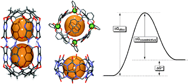 Graphical abstract: Reversible guest exchange mechanisms in supramolecular host–guest assemblies