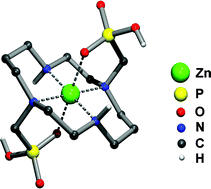 Graphical abstract: Thermodynamic, kinetic and solid-state study of divalent metal complexes of 1,4,8,11-tetraazacyclotetradecane (cyclam) bearing two trans (1,8-)methylphosphonic acid pendant arms