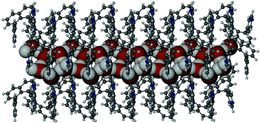 Graphical abstract: Conformational polymorphism of 1,8-dipyridylnaphthalene and encapsulation of chains of fused cyclic water pentamers in a hydrophobic crystal environment