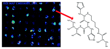 Graphical abstract: An ultra high throughput, double combinatorial screening method of peptide–metal binding