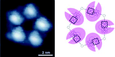 Graphical abstract: Single molecular observation of penta- and hexagonic assembly of bisporphyrin on a gold surface