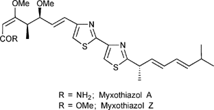 Graphical abstract: Total synthesis of myxothiazols, novel bis-thiazole β-methoxyacrylate-based anti-fungal compounds from myxobacteria