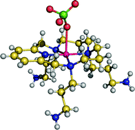 Graphical abstract: Bis- and tris-(3-aminopropyl) derivatives of 14-membered tetraazamacrocycles containing pyridine: synthesis, protonation and complexation studies