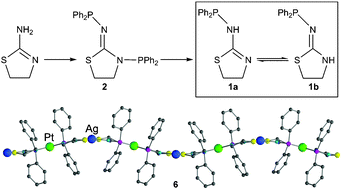 Graphical abstract: Intra- and inter-molecular phosphoryl migration in phosphinothiazolines; precursors to polynuclear complexes and bimetallic coordination polymers