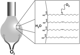 Graphical abstract: Real-time monitoring of the ozonolysis of unsaturated organic monolayers