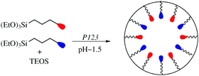 Graphical abstract: Synthesis of bifunctionalized-pore mesoporous organosilica. Study of the accessibility and the distribution of functions in the pore channels
