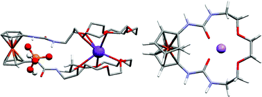 Graphical abstract: Heteroditopic ferrocene-based ureas as receptors for anions and cations