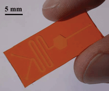 Graphical abstract: Monolithically integrated dye-doped PDMS long-pass filters for disposable on-chip fluorescence detection