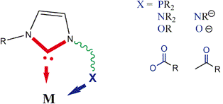 Graphical abstract: The chemistry of functionalised N-heterocyclic carbenes