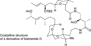 Graphical abstract: Synthesis of derivatives of potent antitumor bistramides D and A leading to the first crystal structure of natural bistramide D