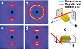 Graphical abstract: Magnetic uniaxial alignment of the columnar superstructure of discotic metallomesogens over the centimetre length scale