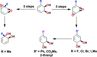 Graphical abstract: Chemoenzymatic synthesis of the trans-dihydrodiol isomers of monosubstituted benzenes viaanti-benzene dioxides