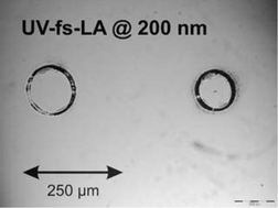 Graphical abstract: Performance characteristics of ultra-violet femtosecond laser ablation inductively coupled plasma mass spectrometry at ∼265 and ∼200 nm