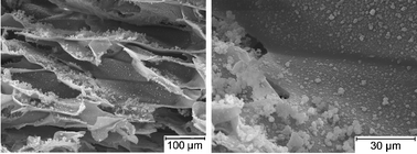 Graphical abstract: Green synthesis of a temperature sensitive hydrogel