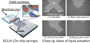 Graphical abstract: On-chip syringe pumps for picoliter-scale liquid manipulation