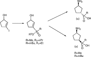 Graphical abstract: Diastereoselective synthesis of (±)-(3-aminocyclopentane)alkylphosphinic acids, conformationally restricted analogues of GABA