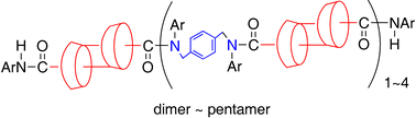 Graphical abstract: Linear oligomers composed of a photochromically contractible and extendable Janus [2]rotaxane