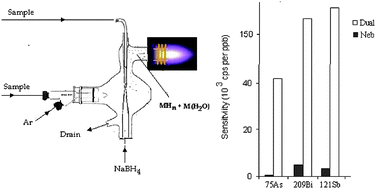 Graphical abstract: Dual mode sample introduction for multi-element determination by ICP-MS: the optimization and use of a method based on simultaneous introduction of vapor formed by NaBH4 reaction and aerosol from the nebulizer