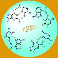 Graphical abstract: Molecular recognition via base-pairing