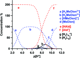 Graphical abstract: Complexation behaviour and stability of Schiff bases in aqueous solution. The case of an acyclic diimino(amino) diphenol and its reduced triamine derivative