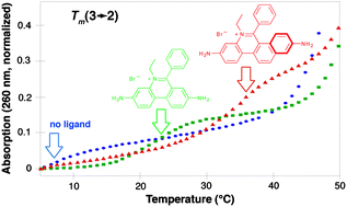 Graphical abstract: Extended ethidium bromide analogue as a triple helix intercalator: synthesis, photophysical properties and nucleic acids binding