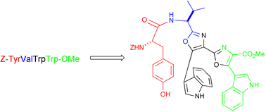 Graphical abstract: Biomimetic approaches to diazonamide A. Direct synthesis of the indole bis-oxazole fragment by oxidation of a TyrValTrpTrp tetrapeptide