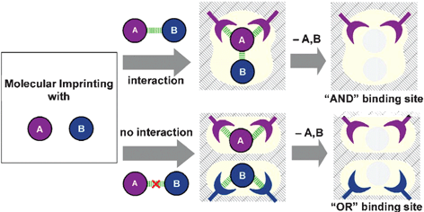 Graphical abstract: Molecularly-imprinted polymeric logic gates selective for predetermined chemical input species
