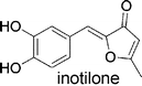 Graphical abstract: Inotilone and related phenylpropanoid polyketides from Inonotus sp. and their identification as potent COX and XO inhibitors