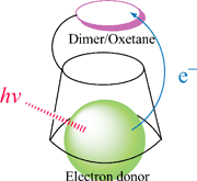 Graphical abstract: Efficient photosensitized splitting of the thymine dimer/oxetane unit on its modifying β-cyclodextrin by a binding electron donor